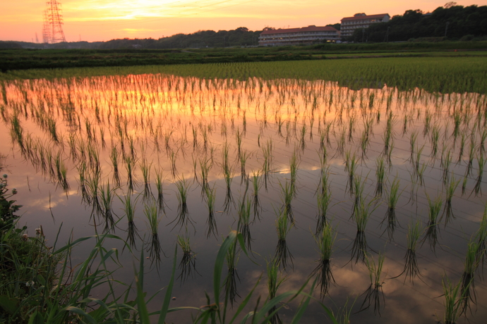 田園風景