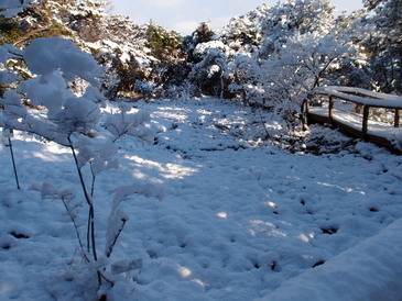 写真：B湿地の積雪