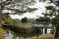 写真：熊野池付近の様子