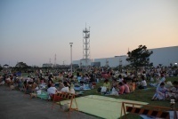 写真：衣浦みなとまつり花火大会18