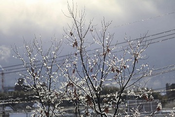 写真：冬の雪解け