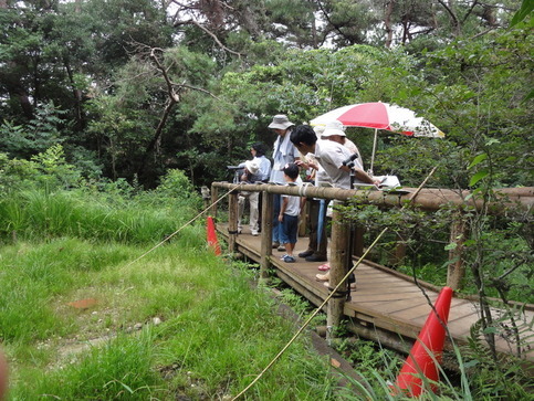 壱町田湿地