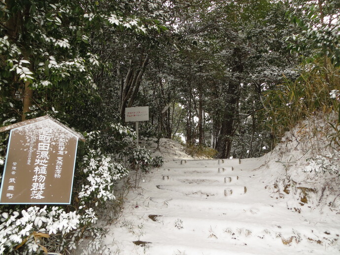 写真：入口付近の雪