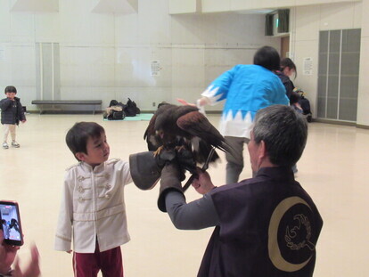 タカがやってくるの様子1