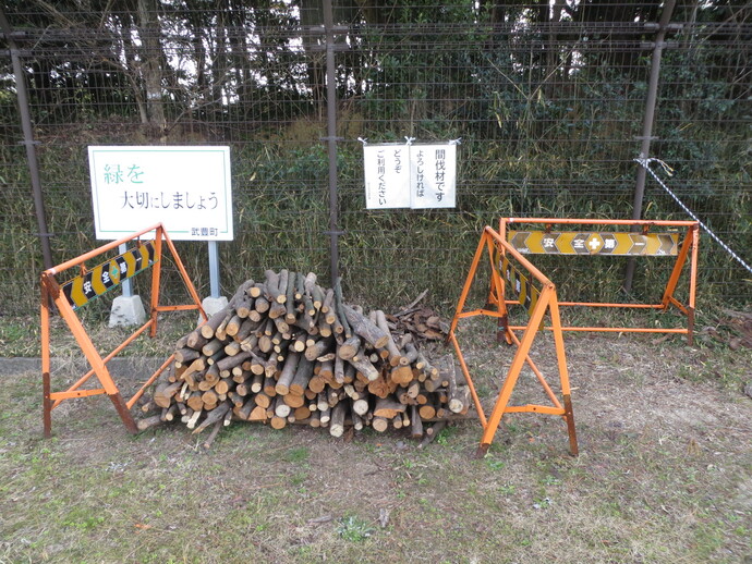 写真：間伐材