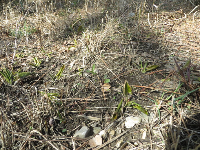 写真：バックヤードの様子