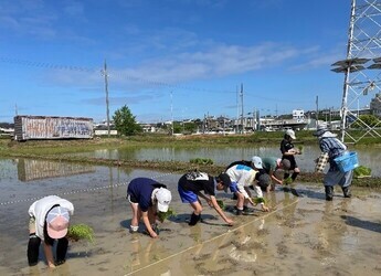 衣浦小12