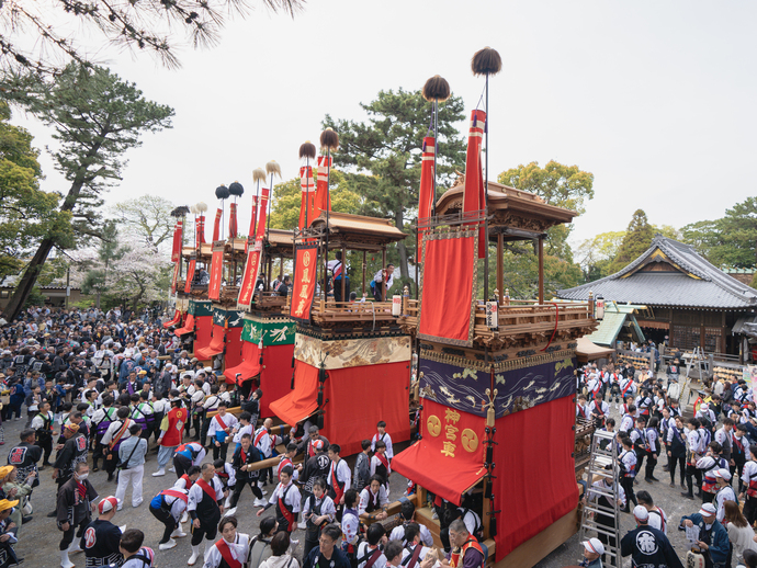 武雄神社に集まる山車の写真